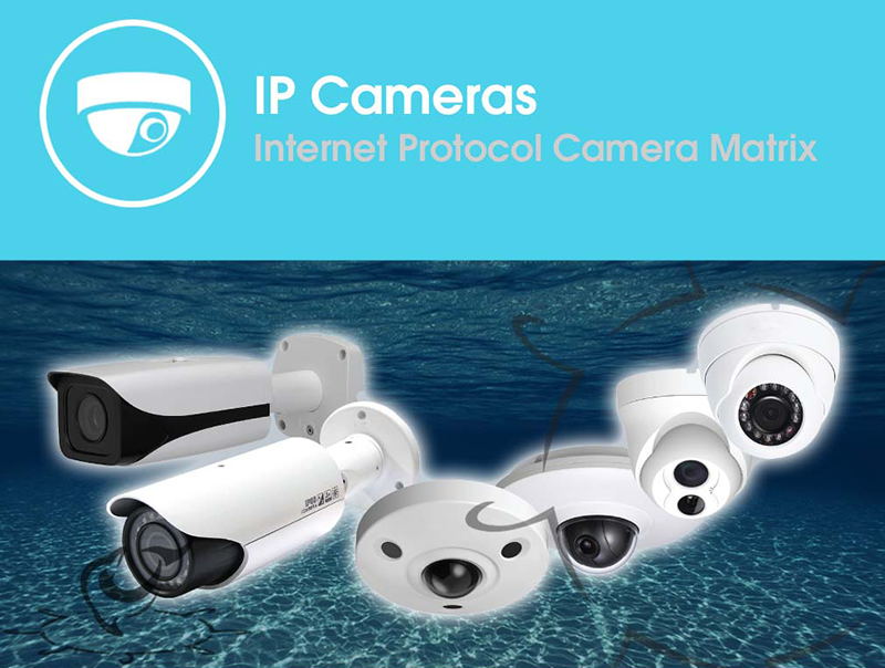 IP Cameras